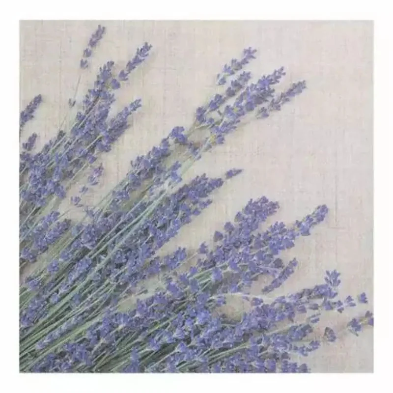 ciel-en-fete3378085