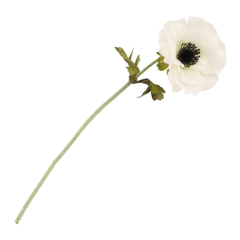 feter-recevoir3258141